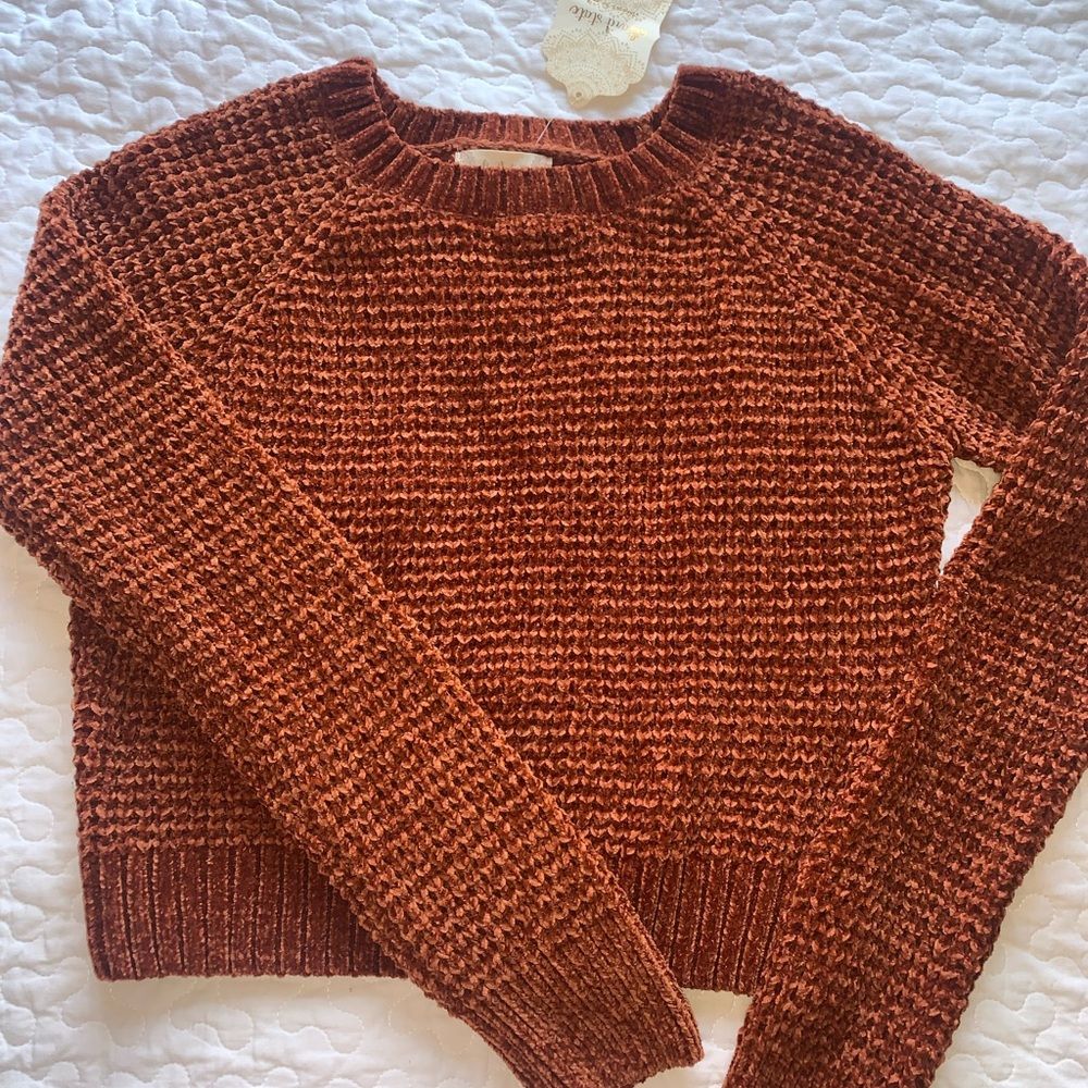 Women’s Small Cropped Altar’d State Sweater in Pecan